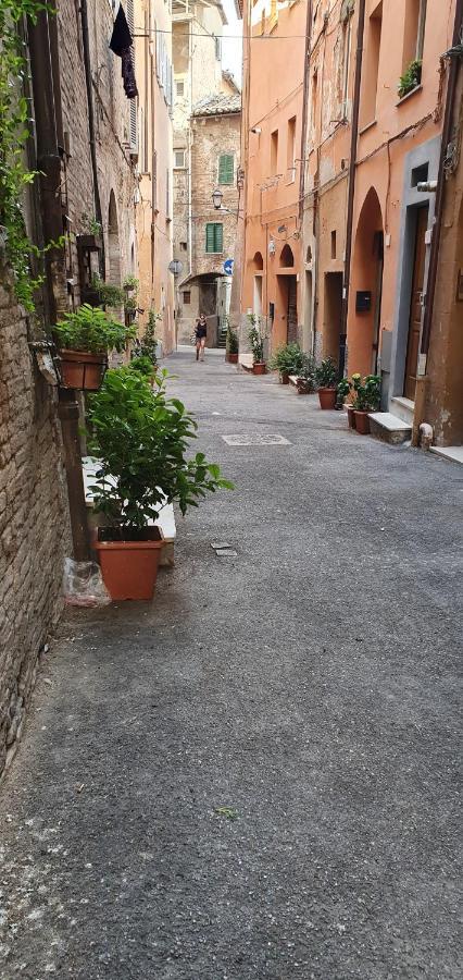 B&B Serena Perugia Eksteriør bilde